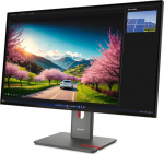 Lenovo ThinkVision P32UD-40 31.5 3840x2160/16:9/350 nits/DP/HDMI/3Y Warranty | Lenovo