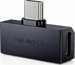 FiiO x SNOWSKY Tiny A - black - Headphone Amplifier z DAC (USB-C + 3.5mm port)