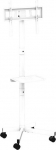 TV SET ACC FLOOR STAND 32-55"/TVS-55T-03-W GEMBIRD