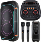 Tonsil Party Box 1601 + 2 Microphones