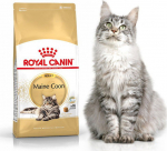 Roy Royal Canin Maine Coon Adult dry food for adult Maine Coon cats coon 4 kg