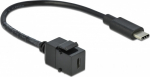 Delock Modular input - USB Typ C - Schwarz