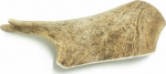 4DOGS 4DOGS TEETHING L HARD z antlers of fallow deer 15 cm