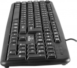 ESP Guitar Company Keyboard Esperanza TK101UA Wired Black US (TK101UA)