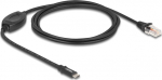 Delock Serial RS-232-Adapter - 24 pin USB-C (M)