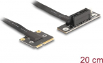 Delock Riser Card