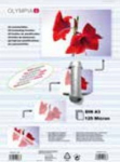 Olympia Laminating DIN A3 125 Mic 25 Piece transp