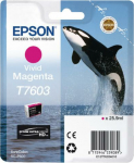 EPS Epson T7603 - 26 ml - Vivid Magenta - original