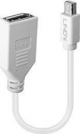 ADAPTER MINI DP TO DP/0.2M 41021 LINDY