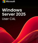 DEL Dell ROK Win Svr CAL 2025 5Clt User 634-CVFH