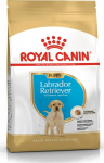 Roy ROYAL CANIN SHN Breed Labrador Junior dry dog food - 12 kg