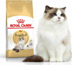 Royal Canin Ragdol Adult dry food for adult ragdoll cats 2 kg