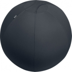 Istumispall/Tasakaalupall Leitz Ergo Active Sit Ball Anti-roll-away, Dark Grey/tumehall, 55cm, kuni 120kg