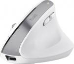 Trust BAYO+ ERGONOMIC WIRELESS, MOUSE WHT