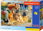 1565 Castorland Puzzle Gathering Friends 300 element&oacute;w (241103)