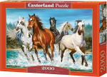 1565 Castorland Puzzle 2000 Call of Nature