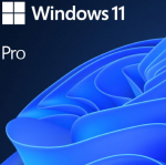 Microsoft Windows 11 Pro 64Bit DSP 1pk Dutch DVD