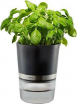 Gefu Botanico Herb Pot