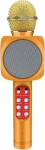 Riff WS-1816 16W karaoke BT microphone with LED 360 Gold