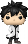 Funko Pop! Animation: Fairy Tail - 100 Years Quest - Gray* #2287 Vinyl Figure