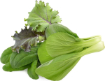 Click & Grow Plant Pod Asian Greens Mix 9tk