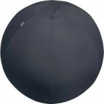Leitz Sitting Ball Ergo 75cm.Anti-Roll-AwayDgy