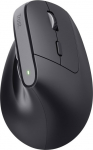 Trust Bayo mouse+ czarna (25146)