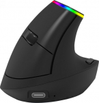 Ordissimo ergonomic wireless mouse