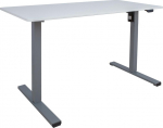 Desk ERGO OPTIMAL with 1 motor 120x60xH71-116cm, white/silver grey
