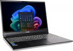 TERRA MOBILE GAMER ELITE 3A R7-Ai350 W11 HOME - Copilot+ PC, AMD Ryzen AI 7, 40.6 cm (16"), 2560 x 1600 Pixel, 32 GB, 1 TB, Windows 11 Home