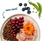 BOS BOSCH Sanabelle Kitten Chicken with cranberries - dry cat food - 2kg