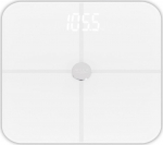 ADLER AD 8187 bathroom scales, white
