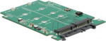 Delock Converter 22 pin > M.2 NGFF - Speicher-Controller