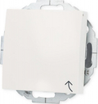 Berker 47448989 - Typ F - Wei&szlig; - thermoplastic - IP20 - 250 V - 16 A