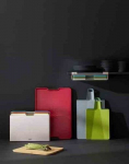 Joseph Joseph Cut&Carve Plus Multifunctional cutting board