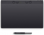 Wacom Intuos PRO Pen L