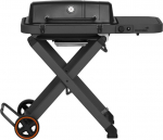 Mustang Fold gas grill