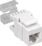 Wentronic Keystone Module RJ45 CAT6 UTP 250MHz