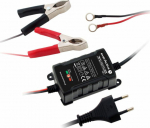 EverActive automatic battery charger 6V/12V 1A (4995726)