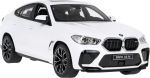 Rastar BMW X6 M R/C Toy Car 1:14