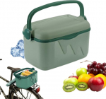Small Portable Travel Fridge 10L Curver Roomy and handy