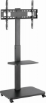 Gembird TVS-75S-02 TV floor stand with caster wheels, 37" - 75", black