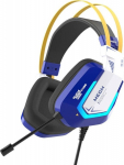 Dareu EH732 USB RGB Gaming Headphones