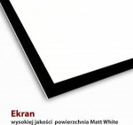 Projector screen Art FS-100