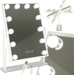 Roger LED Cosmetic Mirror 30x40 cm