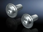 Rittal Rack screws