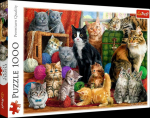 Trefl Puzzle 1000 Cat meeting