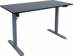 Desk ERGO LIGHT with 1 motor 120x60xH73-118cm, black/silver grey