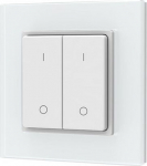 SKYDANCE PF1-2(G) RF Remote Control, Single Color, 2 Zones