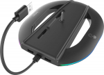 iPega P5S035SAH Vertical Stand (2xUSB-A) with RGB for PS5 Slim/PS5 Pro / black